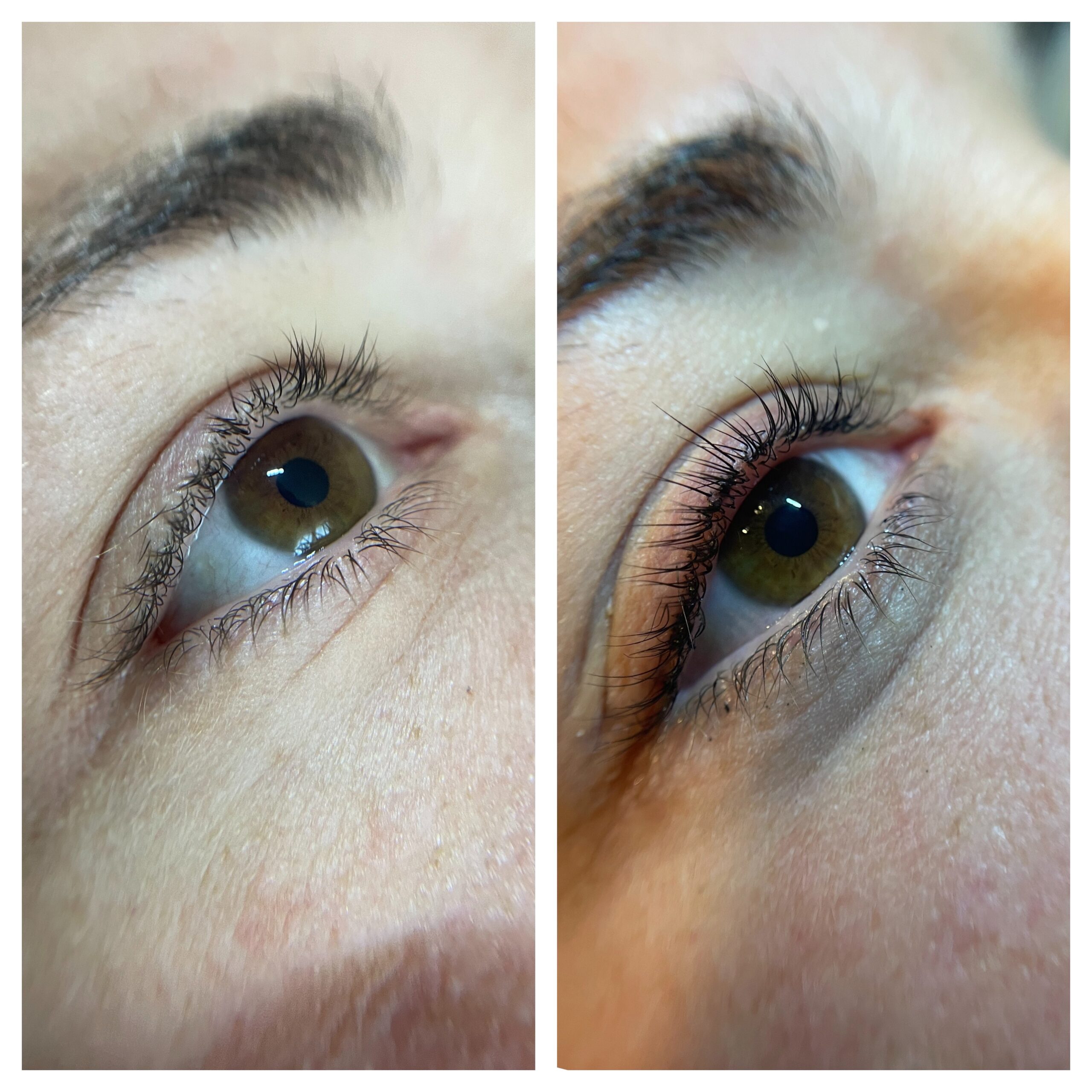 Processed with MOLDIV